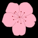花色直播