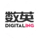 数英网ai助手免费版