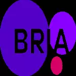 Bria.ai人工智能app免费