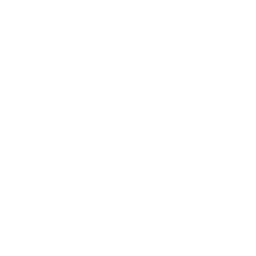 TheDoodleLibraryai问答网页版