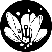 Pollinations AI智能app