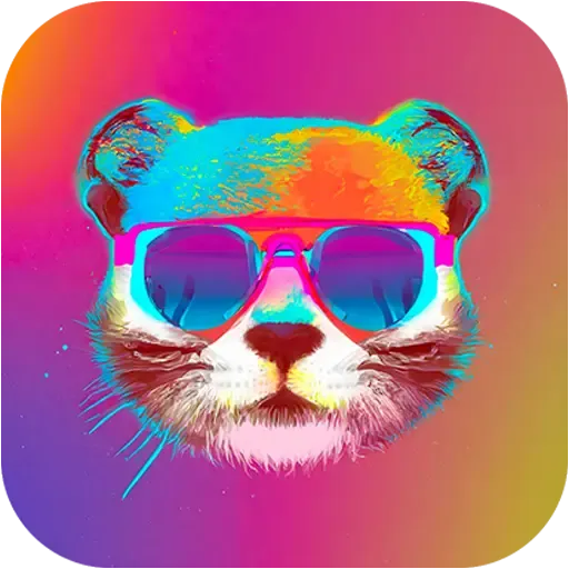 Chat2DBai人工智能软件下载